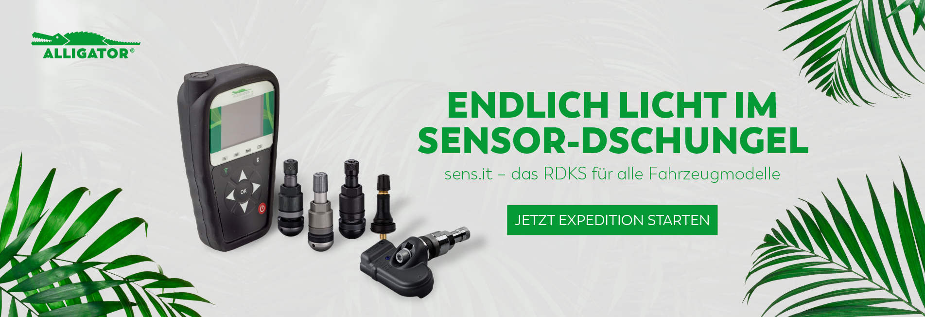 Endlich Licht im Sensor-Dschungel