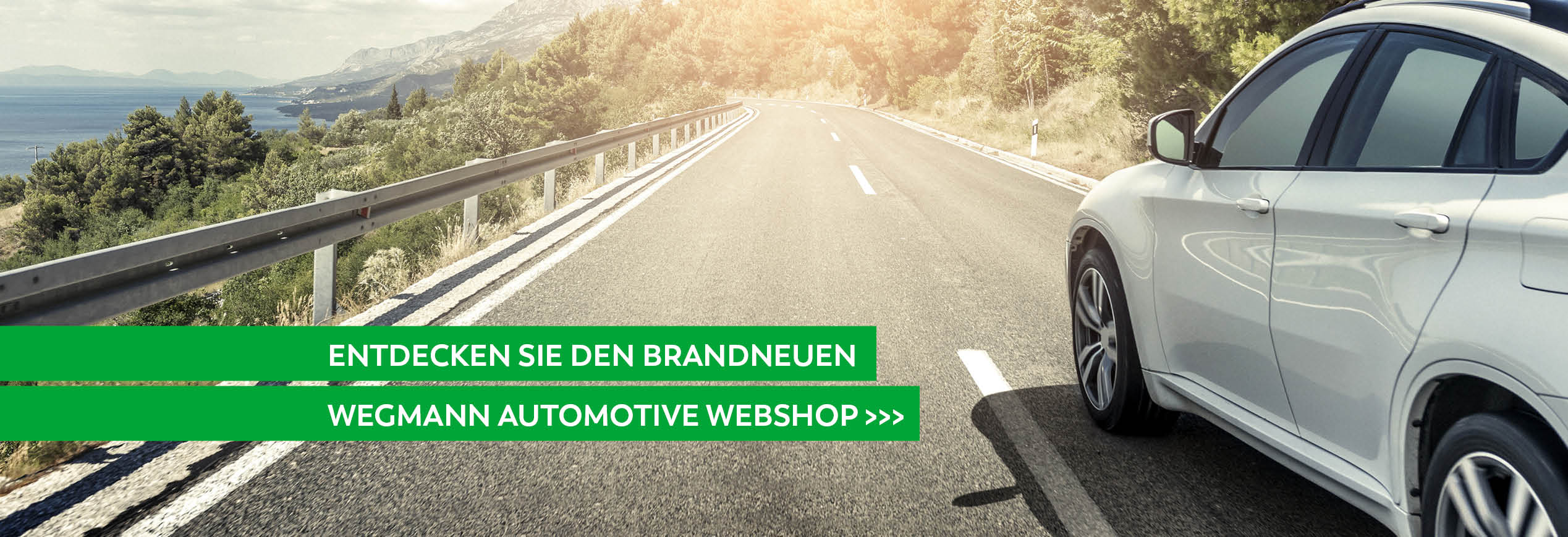 Zum Webshop